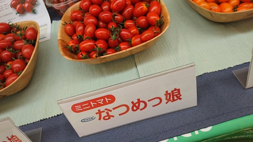 DSC_1312.JPG