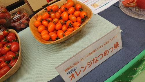 DSC_1313.JPG