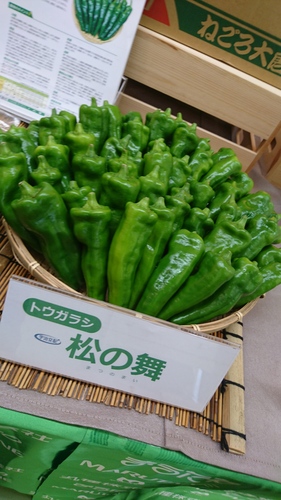 DSC_1321.JPG