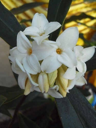 DSC_1731.jpg
